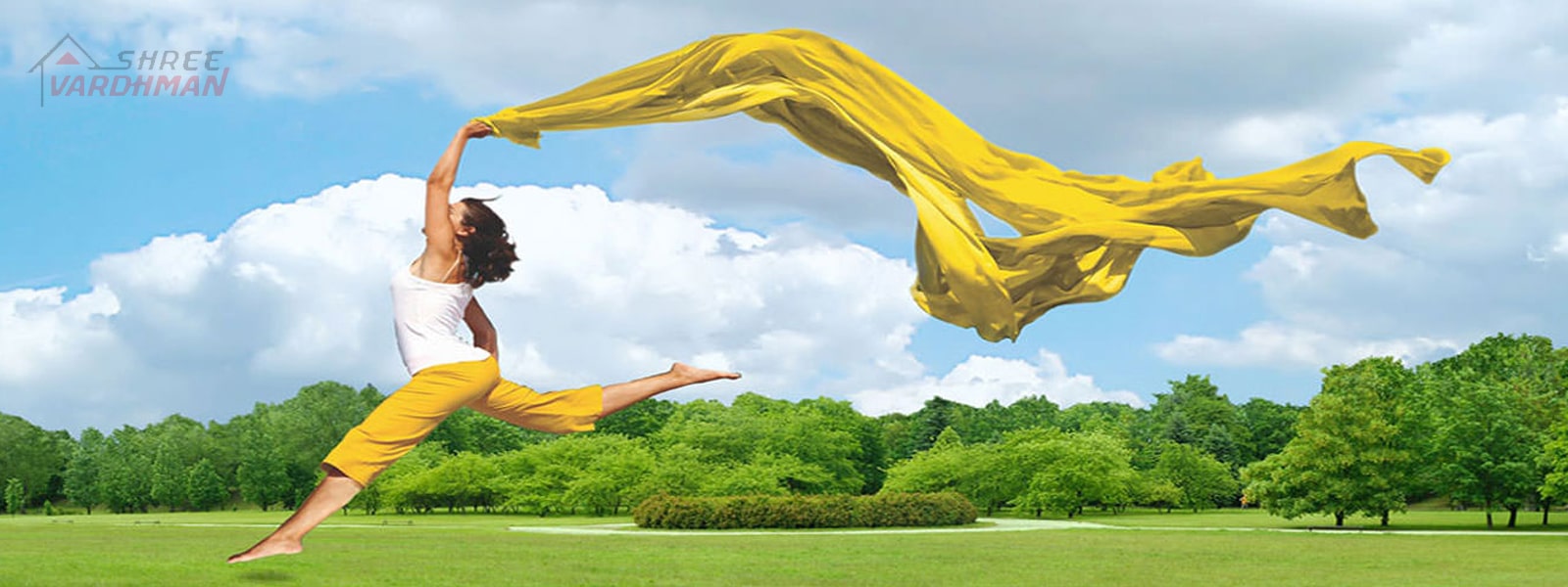Shree Vardhman banner